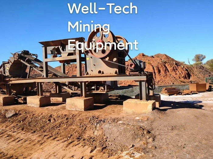 stone gold plant stone gold plant